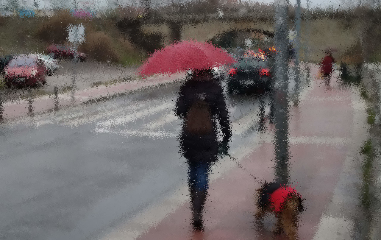 Arte y cultura fotografia