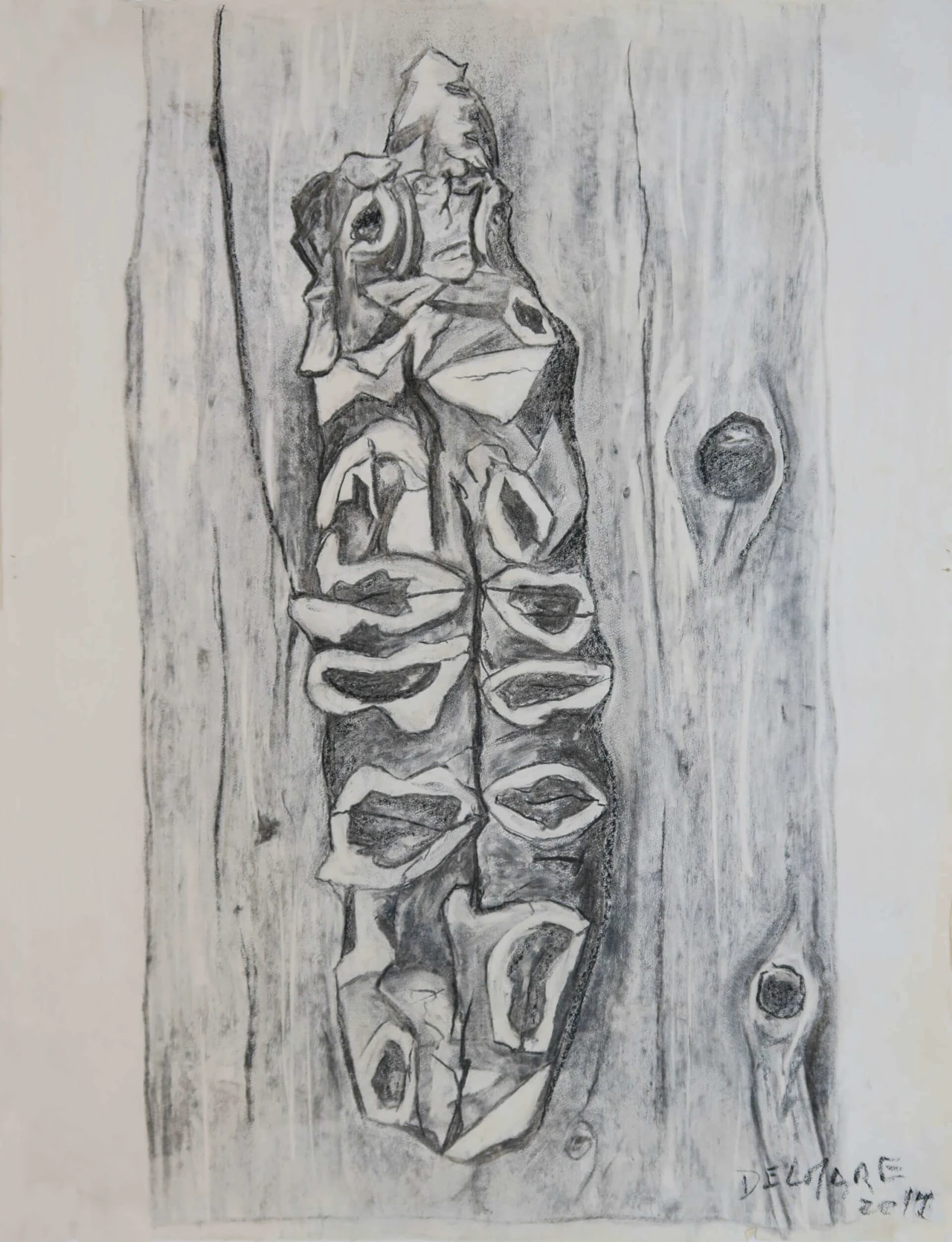 arte dibujos, carboncillo sobre papel, ecorce