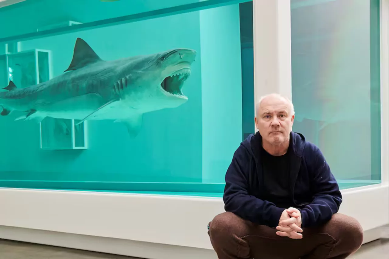 ¿quien es damien hirts? ¿quien es damien hirts?
