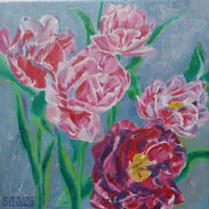 Prado de Tulipanes